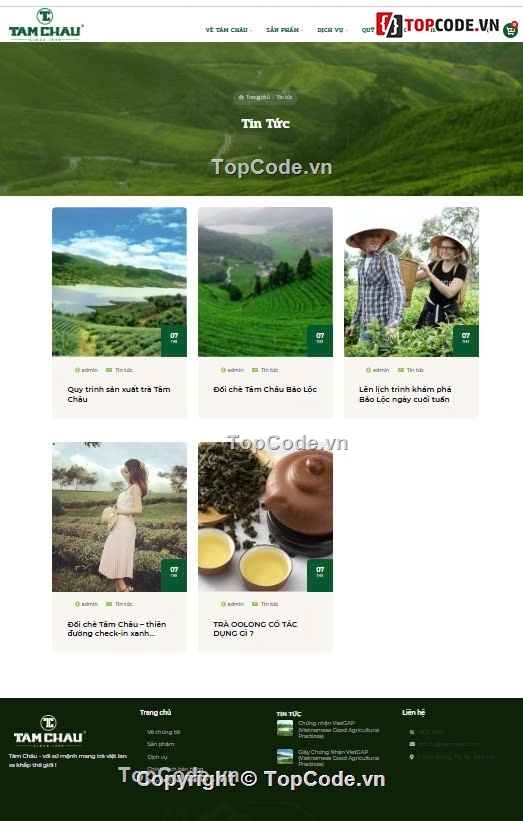 web bán trà xanh,trà đặc sản,trà cao cấp,Sharecode Website Bán trà đặc sản cao cấp